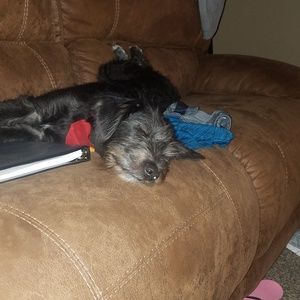 Meet your Posher, Brandy